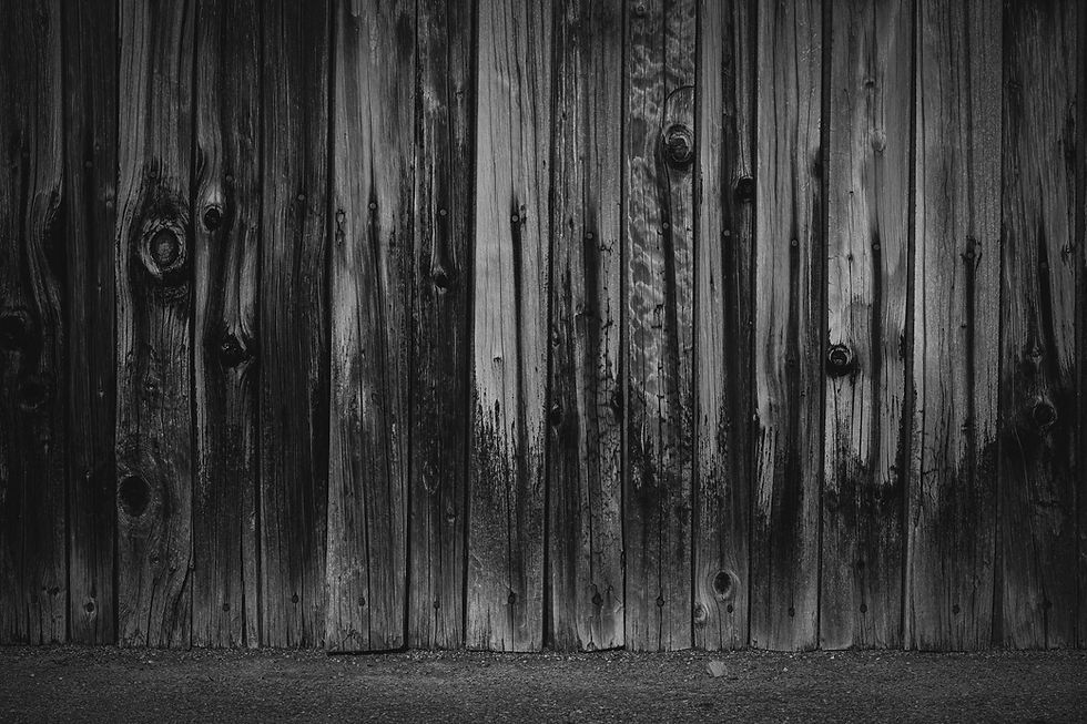 pexels-francesco-ungaro-3652419_edited.jpg