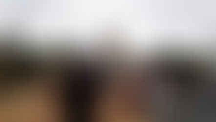 Getting to Walt Disney World for first-timers, Orlando, Florida, United States of America