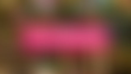 Hotel Matamba, an African-themed resort at Phantasialand, Bruhl