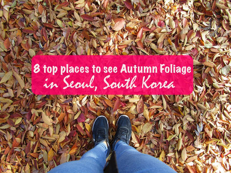 8 top places to see Autumn Foliage in Seoul, South Korea