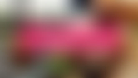 Cafe Hopping in JB: Tropique Cafe and Restaurant