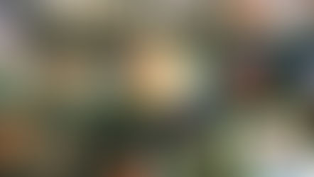 The most unique food to try on your travels