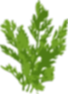 Background Greenery.png