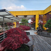 Blue Square Concert Hall.jpg
