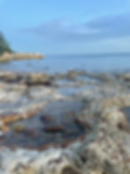 thumbnail_IMG_7233.jpg