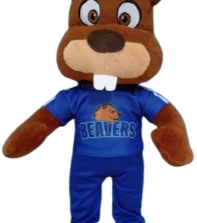 Peluchemex: The Largest Stuffed Animal Factory in Mexico