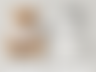 🧸 ¿Por Qué un Peluche es Mejor que un Artículo Promocional Convencional para tu Empresa?