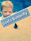 God's Butterfly
