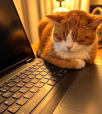 Sleeping Ginger Cat on a Cozy Laptop_edited.jpg