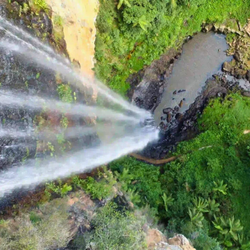 Springbrook National Park