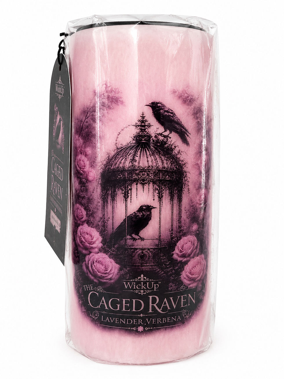 Thumbnail: The Caged Raven