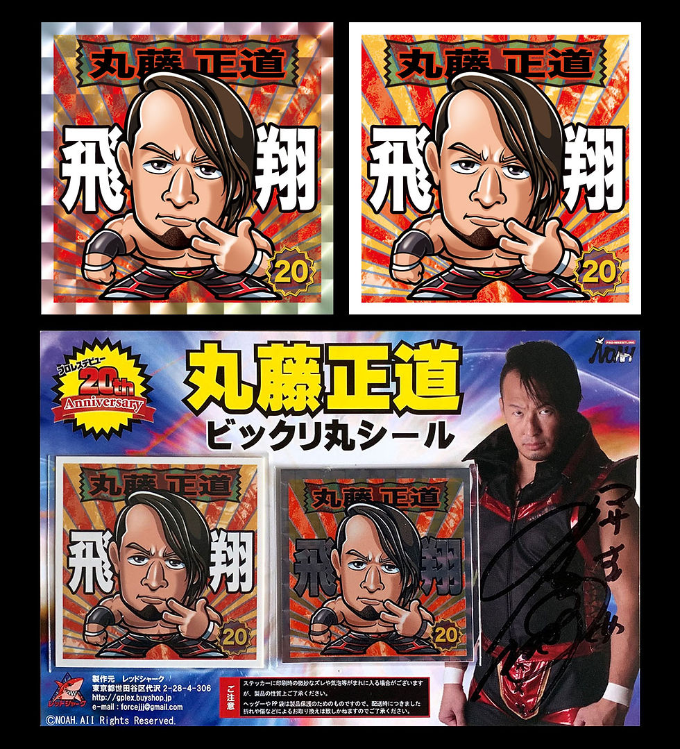 丸藤正道：プロレスニングノア