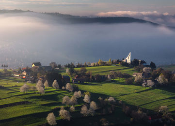 “A veil of fog drapes over the valley, softening every edge into memory”