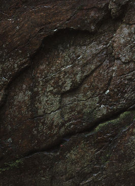 A weathered surface with swirling textures and shadowed curves—suggesting the subtle outline of a reptilian eye, as if a lizard were dreaming beneath the rock.