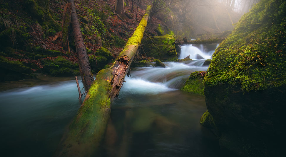 116A1814 copy-Edit.jpg