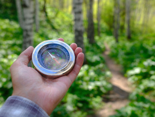 Goals, Intentions, & Burnout Recovery With The Burnout Professor
