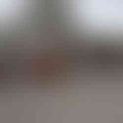 28640978_1788909541159063_1910045286_o