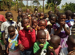 8a48b568-b1dd-43e6-ba7d-7b1976a04840 (1)