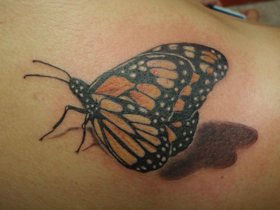 Monarch