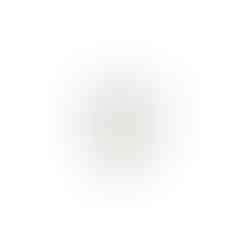 orecchini in oro bianco con diamanti orecchini da sposa John Oliver gioielleria firenze