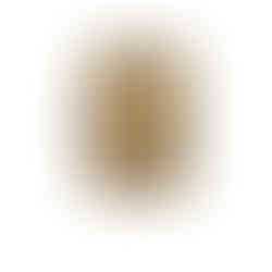 SCATOLA IN ORO VINTAGE PRIMA METà DEL 900 OGGETTO DA COLLEZIONE