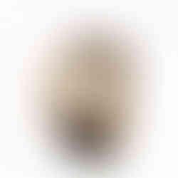 orologio cartier tortue con cassa in oro rosa referenza numero 2762 edizione limitata numerata orologio lusso