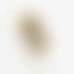 SPILLA IN ORO GIALLO A FORMA DI ZEBRA SMALTATA JOHN OLIVER GIOIELLERIA FIRENZE