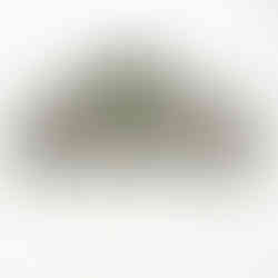 orologio di lusso da collezione firmato rolex gmt pepsi ref16710 full set John Oliver firenze