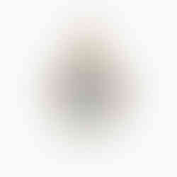 OROLOGIO DA TASCA LONGINES EDIZIONE GRAND PRIX PRIMI DEL 900 IN ORO GIALLO OROLOGIO DI LUSSO DA COLLEZIONE