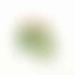 orecchini in oro giallo con diamanti e perline pezzo unico artigianale John Oliver firenze