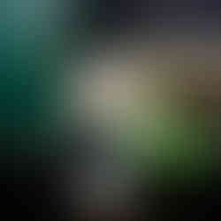 LUXORY WATCH ROLEX OYSTER OERRPETUAL DAYDATE 1803 IN YELLOW GOLD 18 CT FULL SET COLLECTABLE WATCH