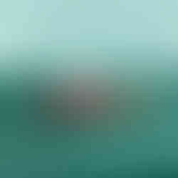 SPILLA IN ORO GIALLO CON DIAMANTI E RUBINI