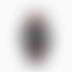 orologio omega museum collection 1938 limited edition full set orologio da collezione John Oliver gioielleria firenze