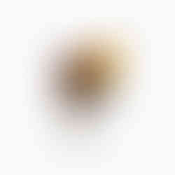 anello in argento floreale con rose in ambra John Oliver gioielleria firenze