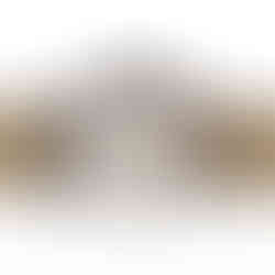 orologio omega museum collection 1938 limited edition full set orologio da collezione John Oliver gioielleria firenze