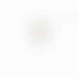 alternative engagement ring with pretty daisy shape with marquise diamonds florence