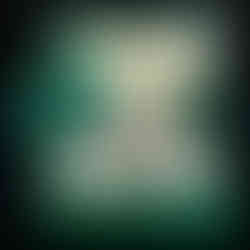 ROLEX COSMOGRAPH DAYTONA REF 116509 WATCH IN WHITE GOLD NEW WITH STIKERS FULL SET IN FLORENCE