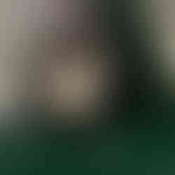 OROLOGIO BREGUET CLASSIQUE REF 3500 OROLOGIO DI LUSSO DA COLLEZIONE