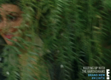 sneak peek.gif