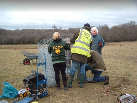 A Tree Planting Session at the Manor !