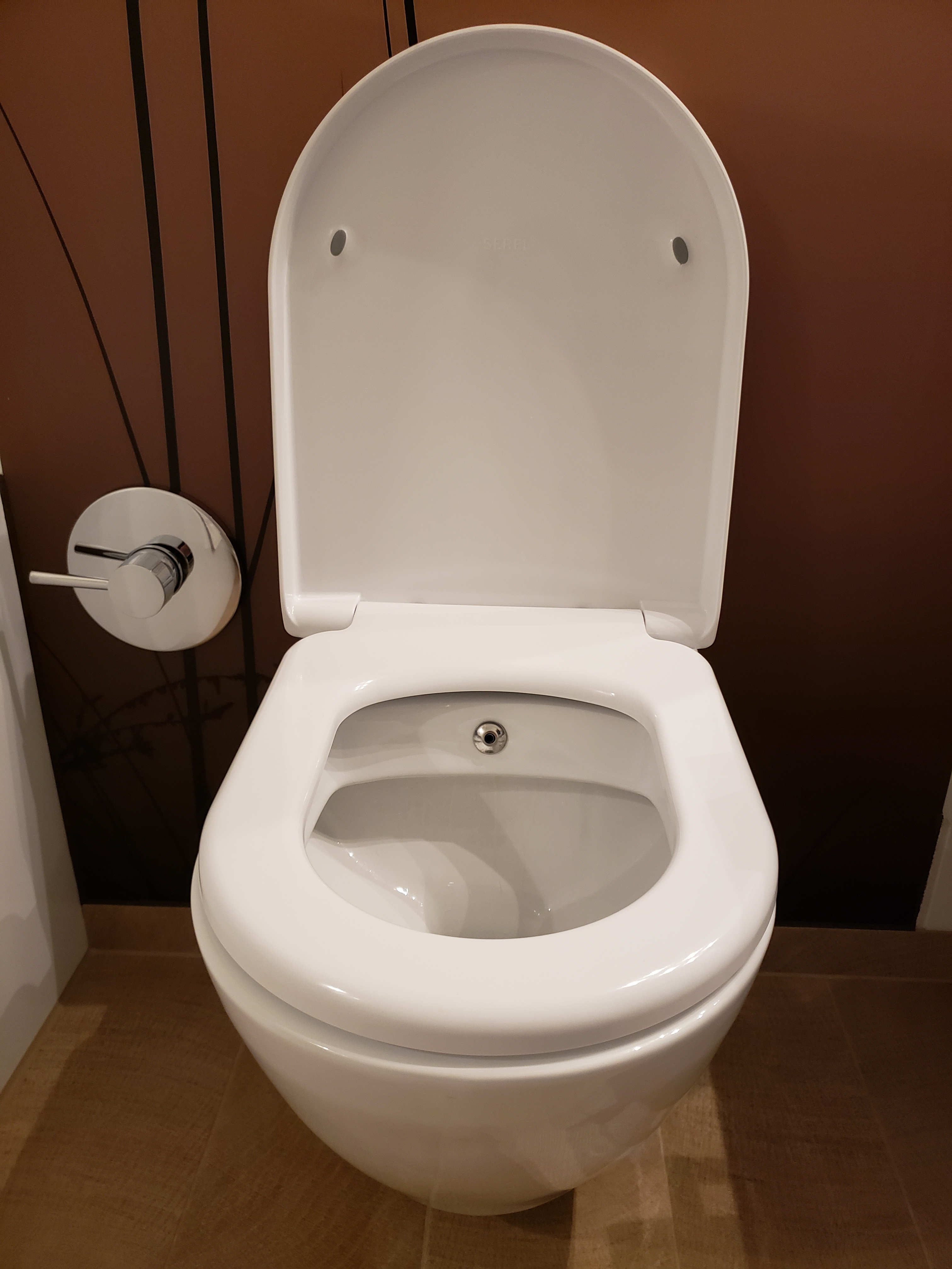 bidet toilet with temperature mixer