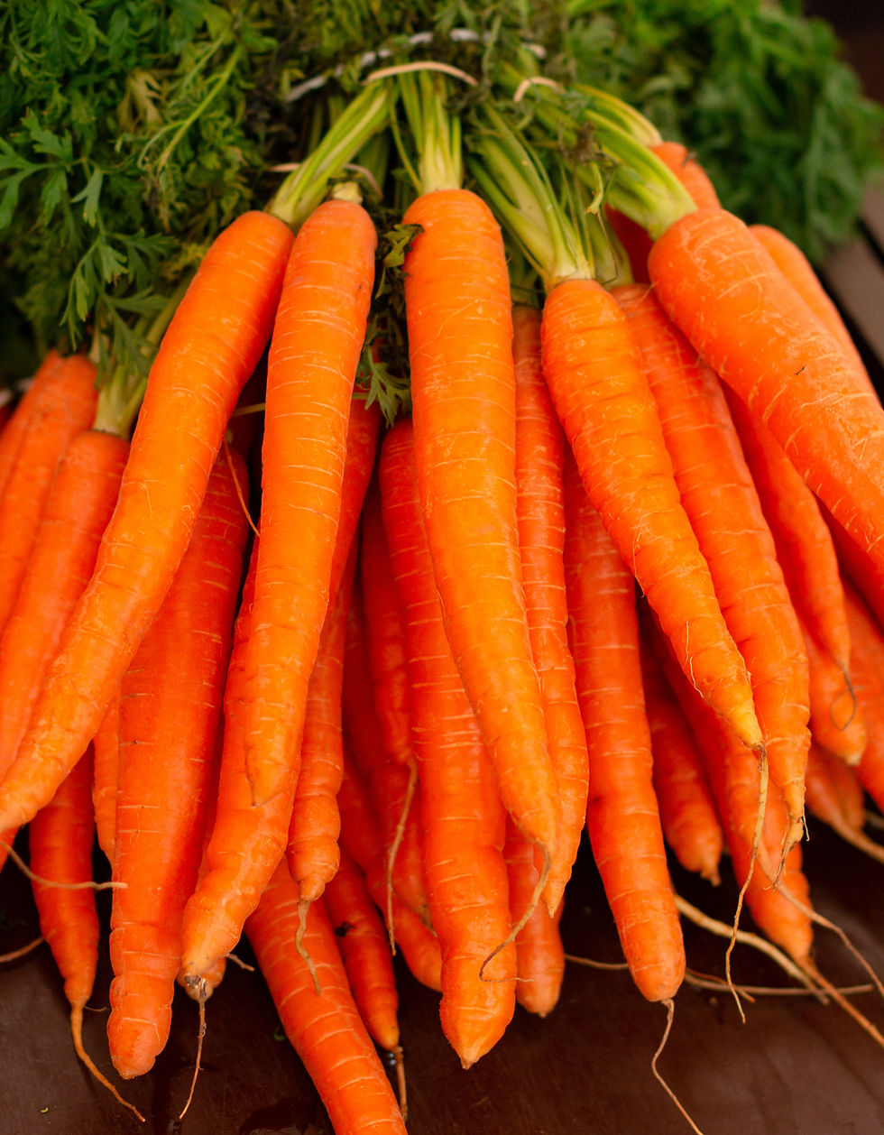 Fresh bunches of vibrant orange carrots with green tops lie on a wooden surface, conveying a farm-fresh, earthy feel.