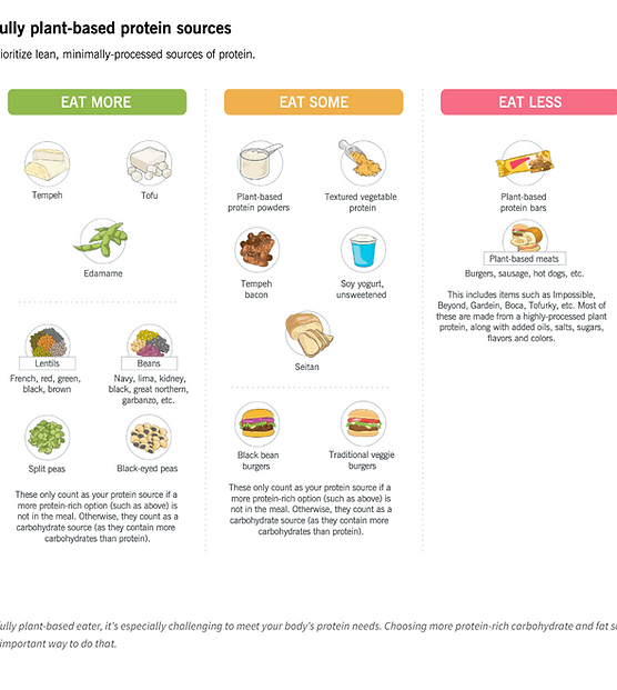 Protein Options Vegan.png
