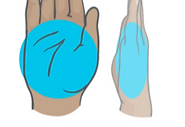 Hand Protein Measurement.png