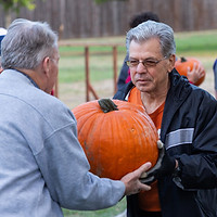 2023-20-07 Pumpkin Unloading-106.jpg