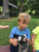 Monkey Play