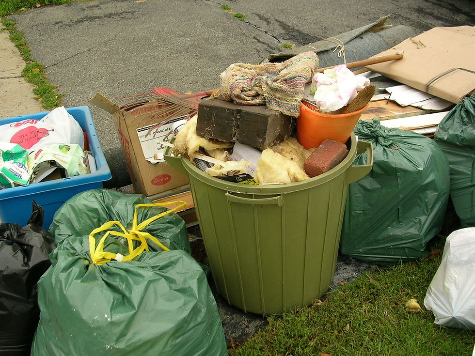 garbage pile