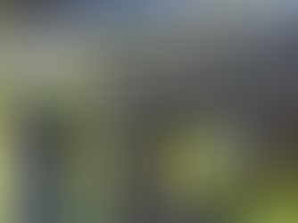 Don't Let It Rain on Your Parade: Why Proper Gutter Installation Matters