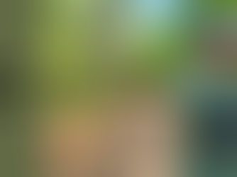 Hunt Smart, Not Sorry: Safety First for Every Feller Who Heads Into the Wild