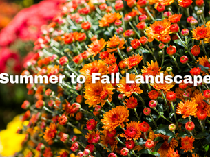 From Sun to Soil: How to Seamlessly Transition Your Landscape from Summer to Fall